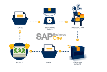 SAP for Retail Industry