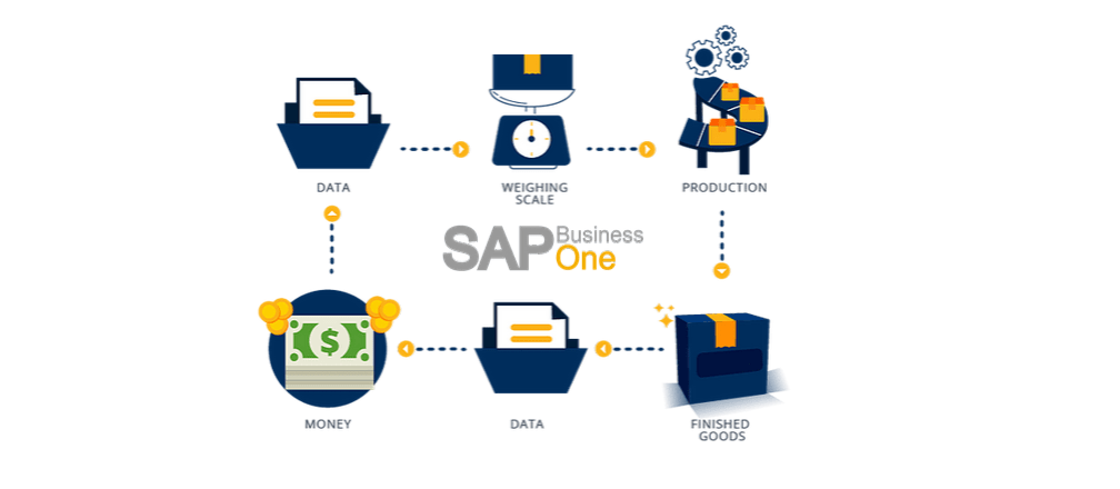 SAP for Retail Industry