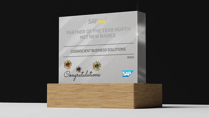 Partner of the year North 2020