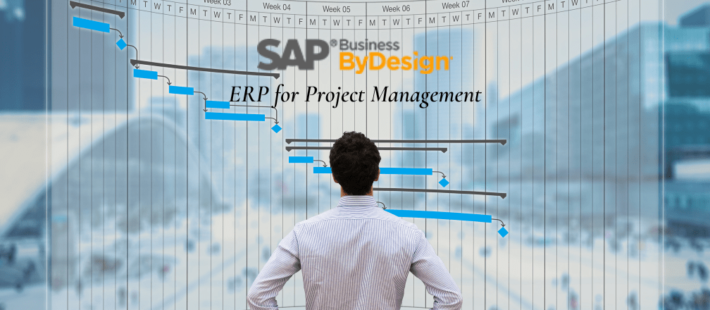 SAP Business ByDesign ERP for Project Management