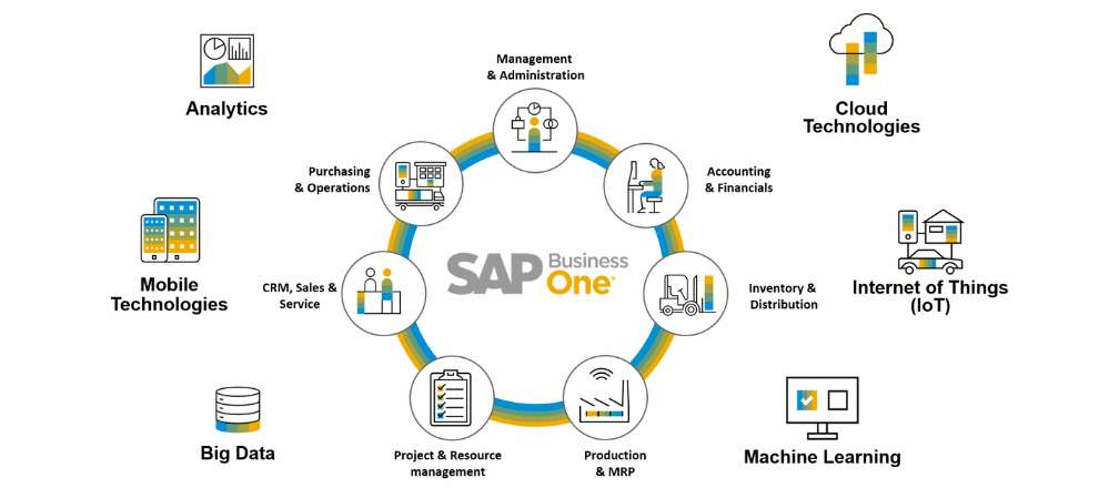 sap business one case study