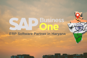 ERP Software Partner in Haryana