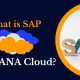 What is SAP S4HANA Cloud