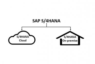 SAP S4HANA On-premise VS Cloud Solutions