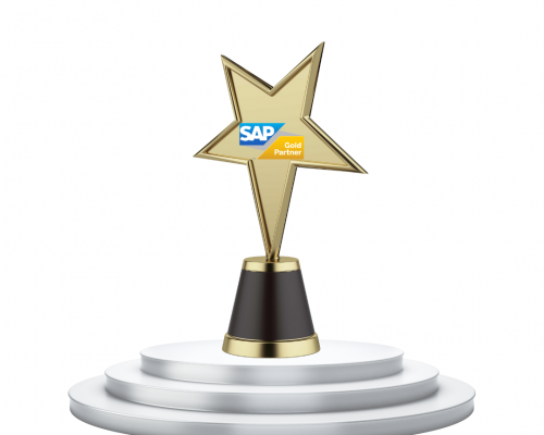 SAP partner of the year