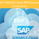 5 Ways How SAP S4HANA Cloud Will Increase Your Business Productivity