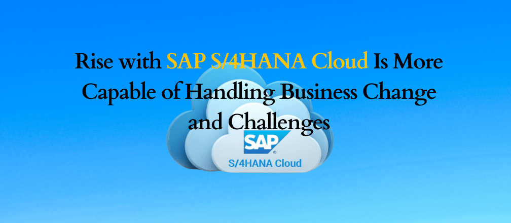 SAP S/4 HANA Cloud