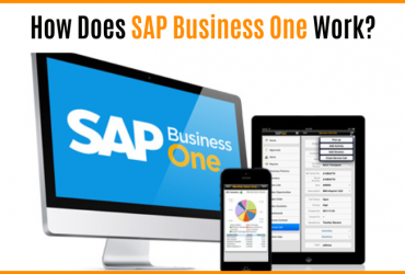 How Does SAP Business One Work