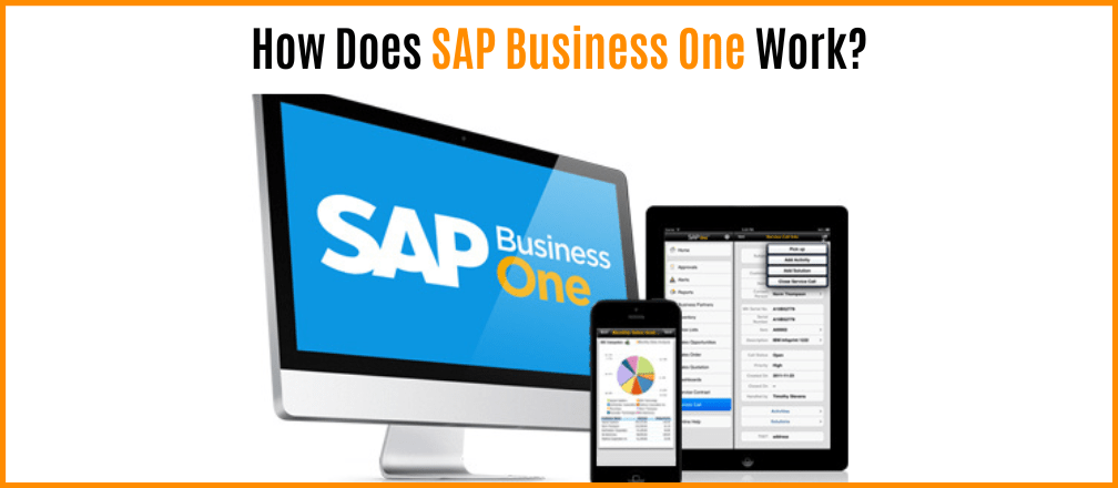 How Does SAP Business One Work