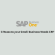 5 reasons your small business needs ERP