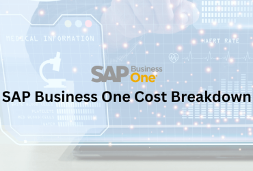 SAP Cost Breakdown