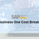 SAP Business One Cost Breakdown