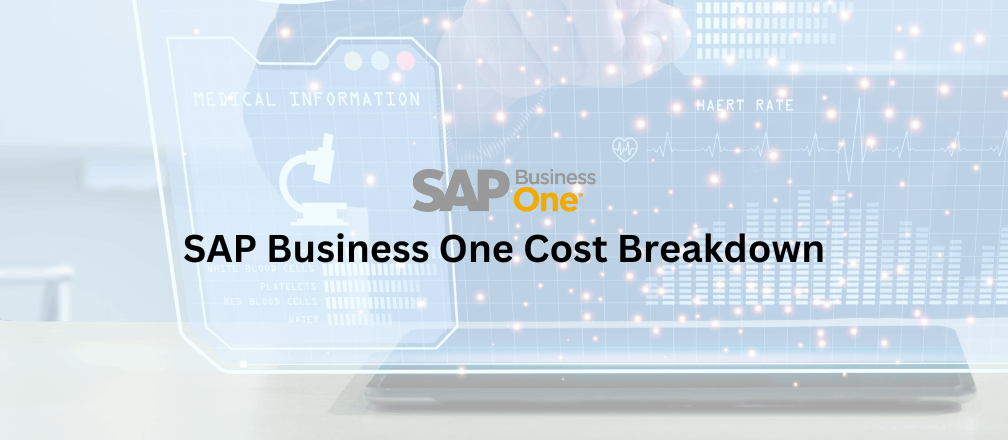 SAP Business One Cost Breakdown