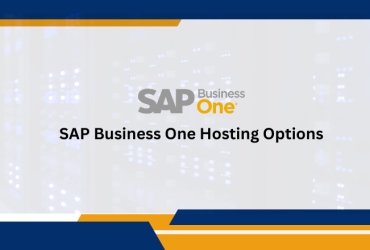 SAP Hosting Options