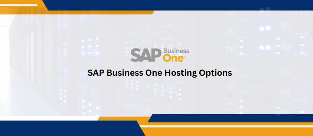 SAP Hosting Options