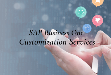 SAP Customization Services