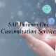 SAP Customization Services