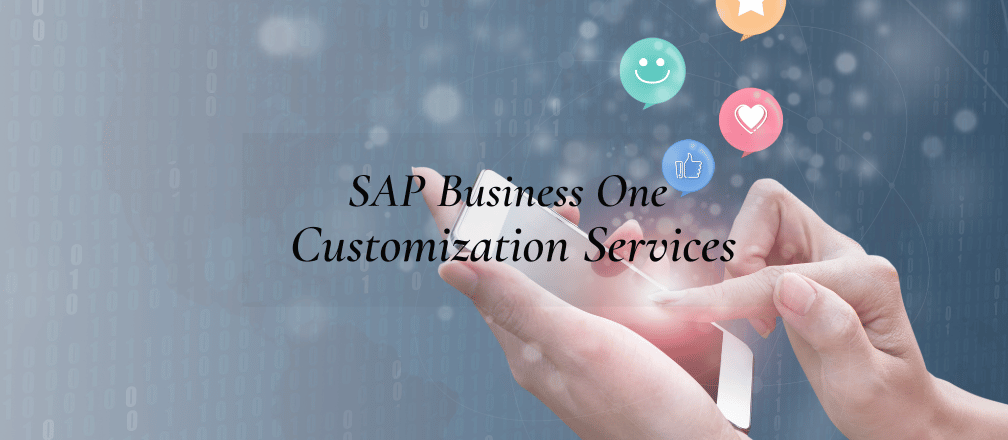 SAP Customization Services