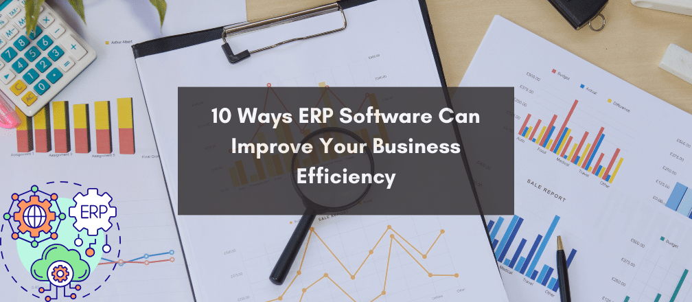 ERP Software for Business Efficiency