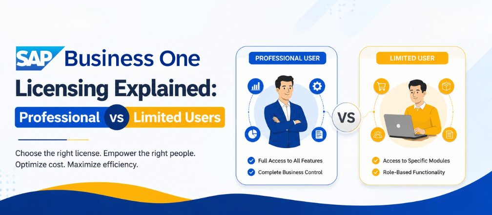 SAP Business One Licensing Explained Professional vs Limited Users